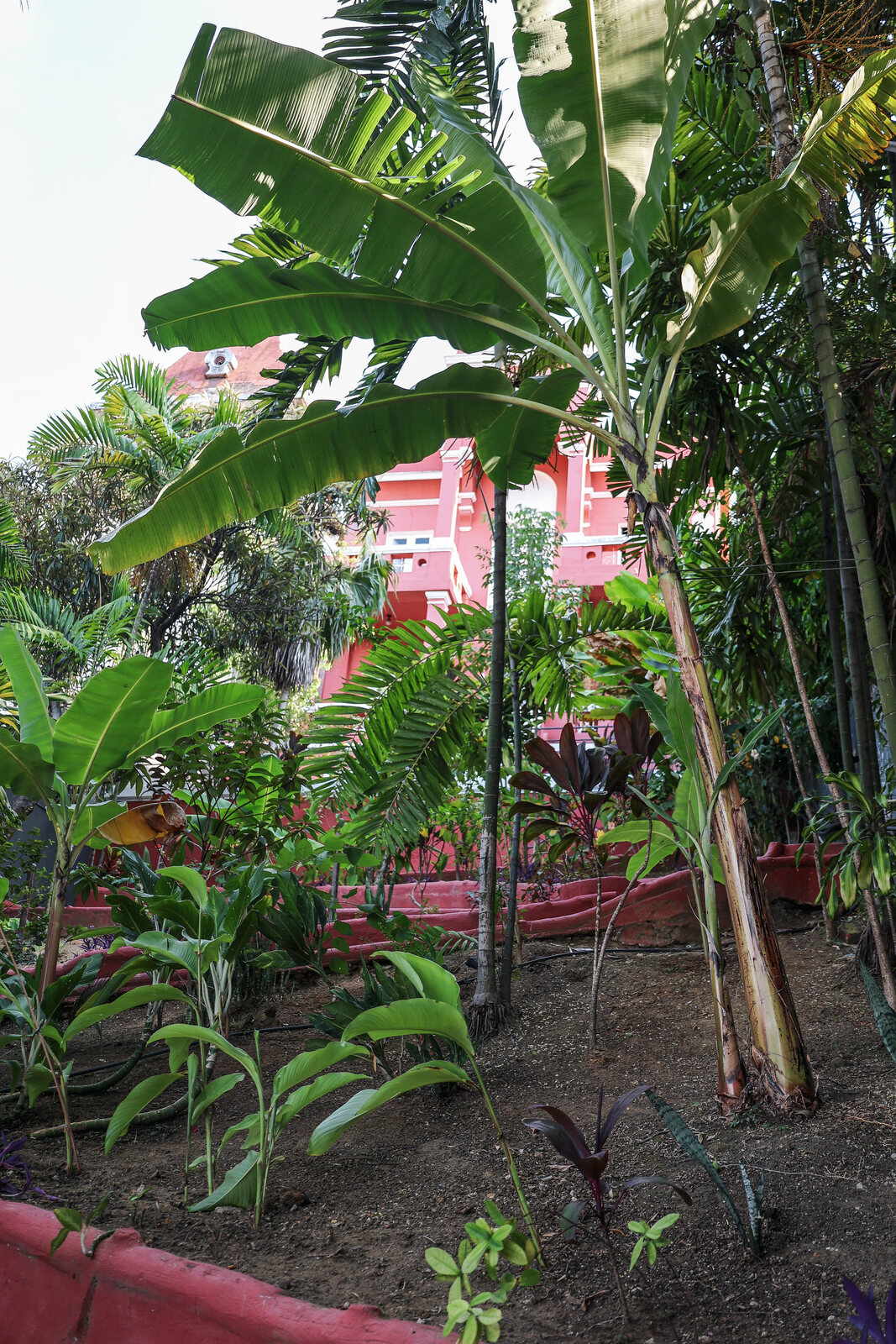 Jardim tropical da Villa Dourada em Santa Teresa